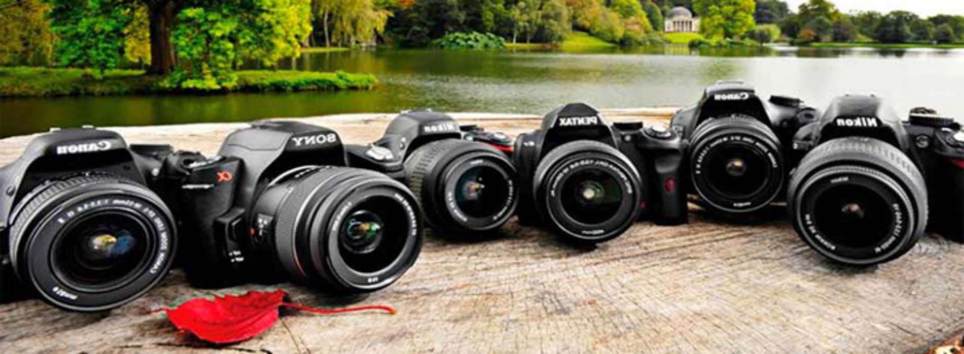 Ремонт зеркальных фотоаппаратов